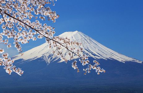 冬季山摄影照片_富士山，从湖河口湖的视图