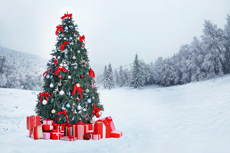 装饰圣诞树摄影照片_装饰过的圣诞树  