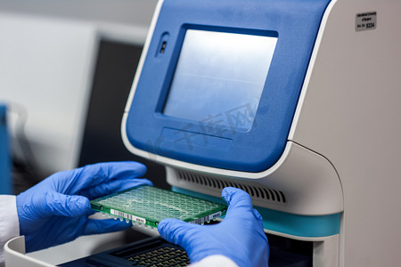 科学家或研究员或博士生放入 pcr dna 样本 