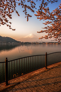 富士山，富士山查看从河口湖，日本与雪儿