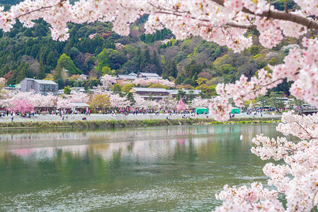 幕摄影照片_与樱花在岚山河畔的一幕