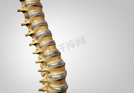 脊柱造型的细节特写