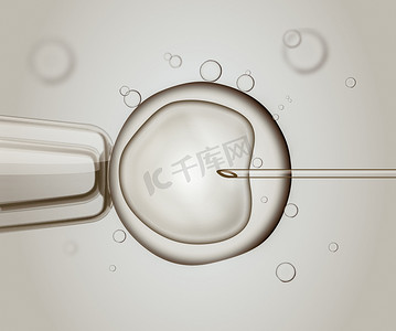 细胞分子摄影照片_宏的 Ivf (体外受精)。受精的人类卵细胞。数码插画.