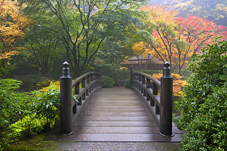 秋天人摄影照片_在秋天的日本花园木桥
