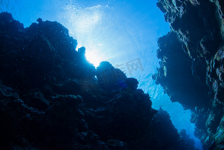 海洋峡谷摄影照片_Underwater channel diving