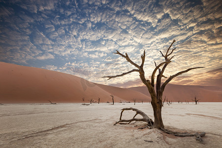 沙子摄影照片_纳米布沙漠 Sossusvlei 盐湖