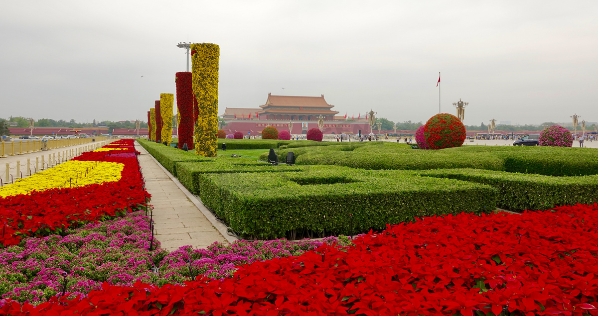 郁金香花的景色高清摄影大图 千库网 郁金香花的景色高清摄影大图 千库网