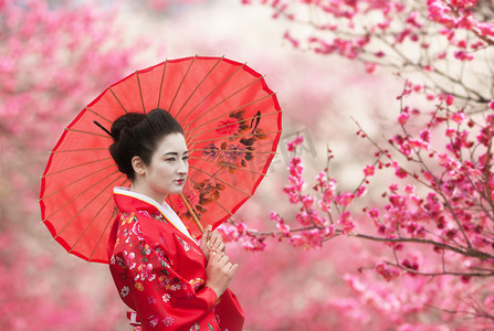 与上一棵开花的树伞艺妓分支机构背景