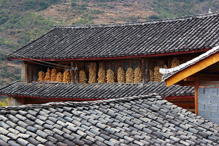 老瓦屋顶和油炸玉米
