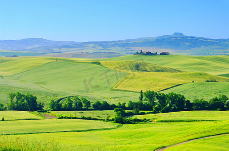 意大利托斯卡纳的绿色山丘