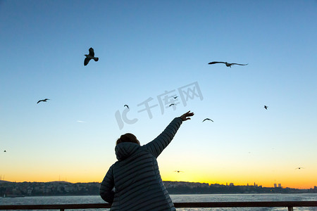 城市摄影照片_女人喂海鸥