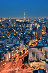 东京屋顶