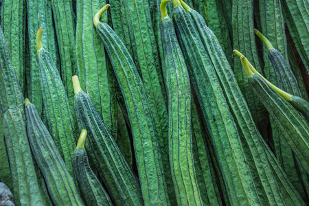 卡通六棱形摄影照片_新鲜的斜角丝瓜，棱形葫芦 (丝瓜 acutangula 和。)，蔬菜为背景