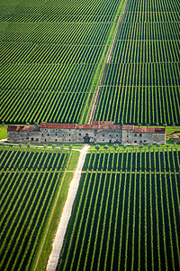 农村院摄影照片_意大利葡萄园-aereial 视图