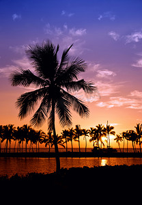 海滩晚霞摄影照片_夏威夷椰树晚霞
