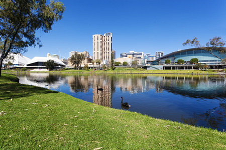 Adelaide市