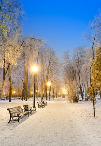 飞扬的雪花摄影照片_一个令人难以置信的冬城公园的人行道