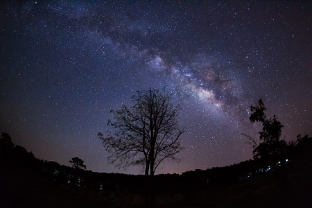 星座剪影摄影照片_美丽的银河系，夜晚的天空上的树的剪影
