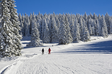 下坡路段摄影照片_阳光灿烂的日子、 山滑雪胜地科帕奥尼克、 塞尔维亚、 冬山景观山滑雪坡