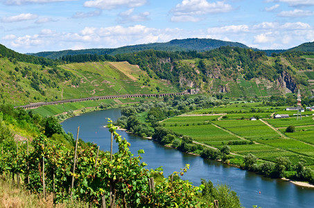 mosel 河德国