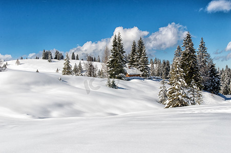 冬季现场摄影照片_与传统的山地 l 阿尔卑斯山田园冬季景观