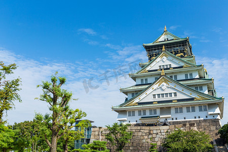 保护植物摄影照片_日本大阪城堡