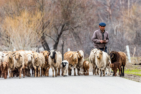 新疆男人摄影照片_在那拉提草原牧人