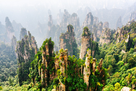 中文绿色摄影照片_顶视图的天然石英砂岩柱 （阿凡达山)