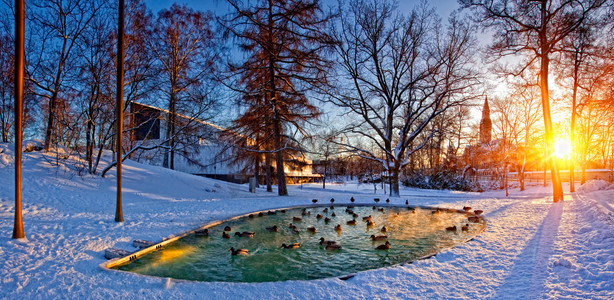 赫尔辛基公园与池塘
