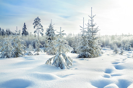 雪圣诞摄影照片_农村冬季景观与