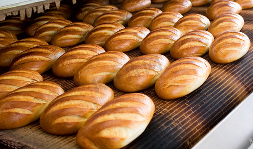 面包摄影照片_面包在面包店