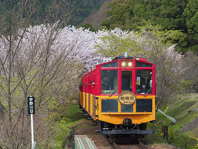 酒野浪漫列车，京都的观光复古列车