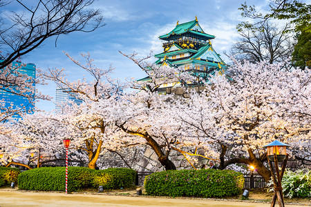 在春天的大阪城堡