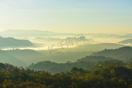 沙场战士摄影照片_森林天空, 薄雾, 山观在黎明前的清晨, 仰望山顶。清晨日出在高山上.