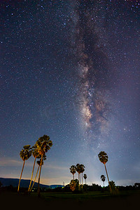 银河系摄影照片_糖棕榈和银河系的剪影 