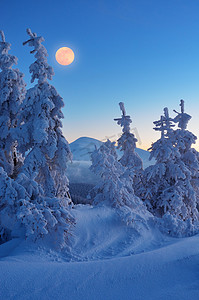 雪晚摄影照片_满月在冬季