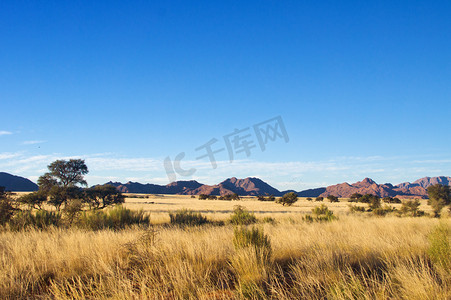 dune摄影照片_African savanna