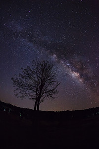 星座剪影摄影照片_树和银河系的剪影。长时间曝光的照片。与 
