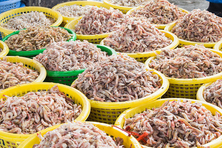 好吃的夏威夷果摄影照片_堆栈的鲜虾在篮子里卖鱼码头市场