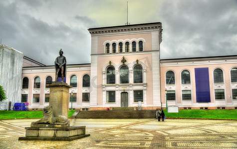 卑尔根大学博物馆-挪威
