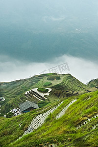 桂林龙胜摄影照片_绿色植物, 房子和雾下来。有薄雾的秋天风景与米梯田。中国, 阳朔, 龙米梯田.