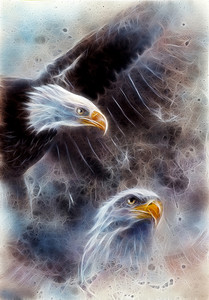 动物抽象抽象摄影照片_两只鹰在抽象背景分形上的幅美丽的画