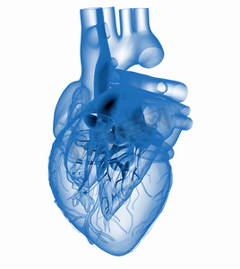 科技摄影照片_人工心脏-x 光检查的模型