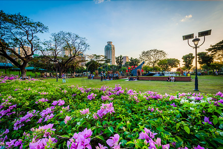 在黎刹公园，在埃尔米塔，马尼拉，菲律宾的花园.