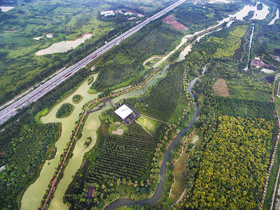 成都摄影照片_中国四川成都锦江区白鹭岛湿地