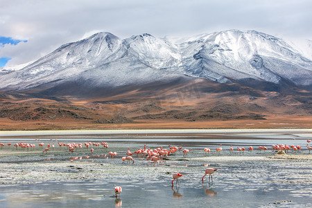 乌尤尼盐湖摄影照片_玻利维亚景观