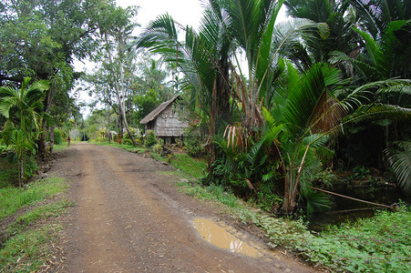 png房子摄影照片_在村庄巴布亚新几内亚的碎石路