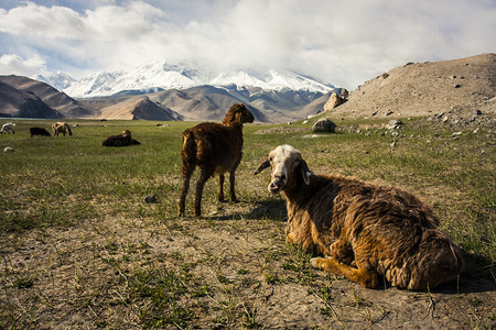 风景摄影照片_喀喇昆仑山脉