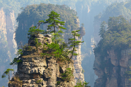 森林摄影照片_张家界国家公园，中国。阿凡达山