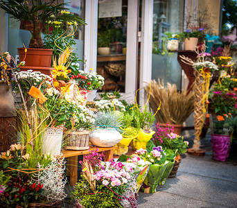 蓝色花束摄影照片_花店